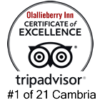 trip advisor logo