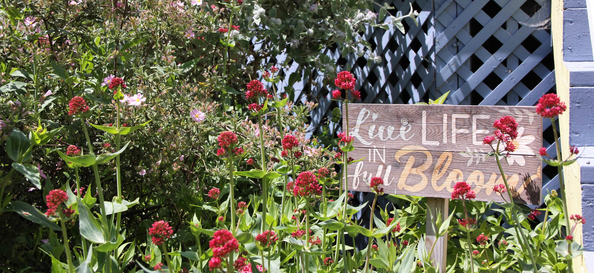 cambria boutique hotel gardens