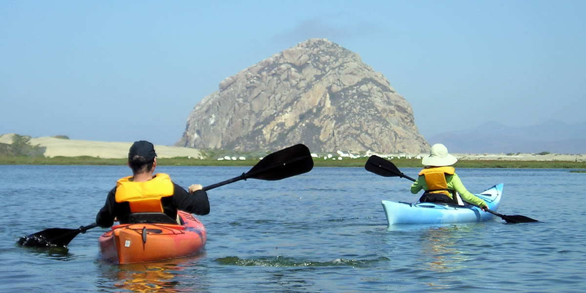 kayak at morro bay