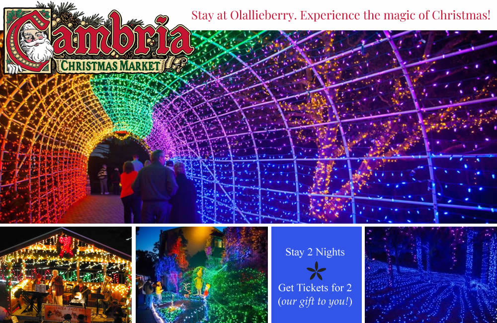 cambria christmas market promotion
